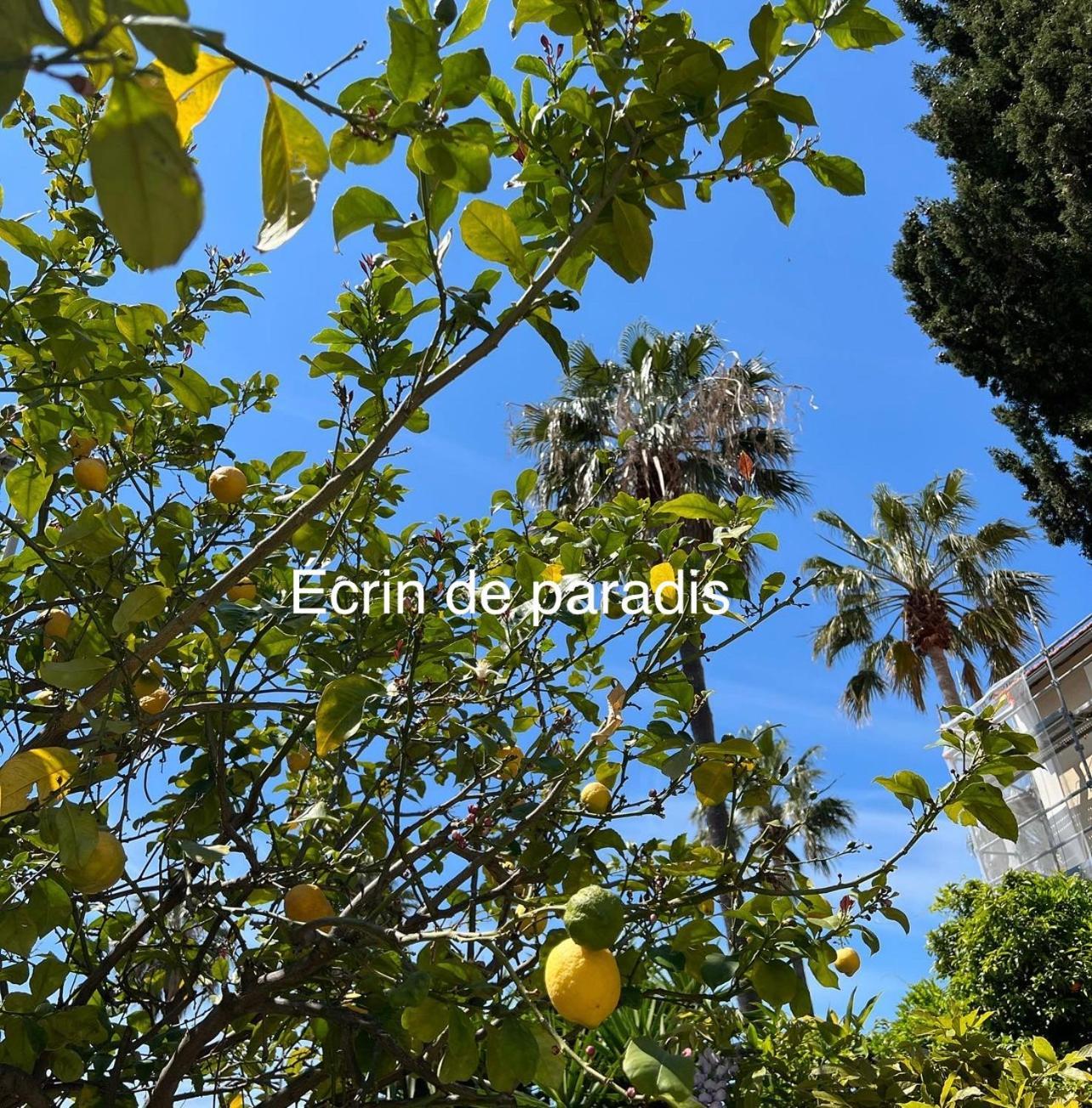 סנרי-סור-מר Casa Andrea Appartement Tout A Pied Avec Grand Jardin מראה חיצוני תמונה